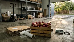 Umowa UE–Indie w finałowej fazie: co z cłami, rolnictwem i szansą dla polskich jabłek